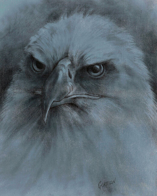 Outer Banks Artist Eagle