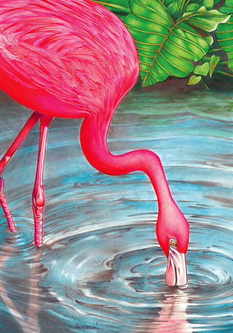 Outer Banks Artist Flamingo