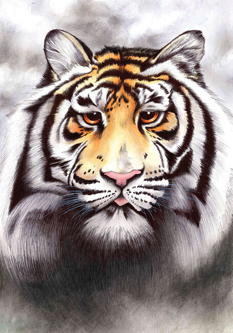 Outer Banks Artist Tiger